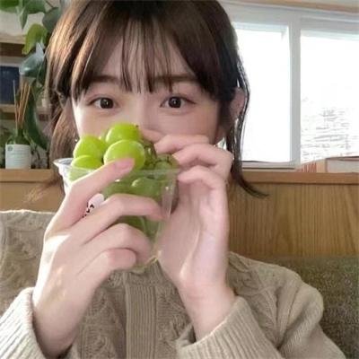 星星守护犬